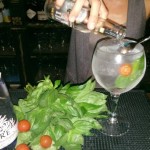 Gin Tonic in preparazione