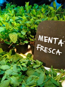 La menta fresca è prodotta in grande quantità in Colombia, e poi esportata in tutta europa