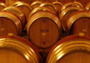Un Osservatorio sul vino fornisce informazioni utili ad aziende, cantine e produttori