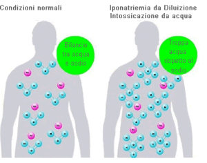 Chi beve troppo altera il rapporto sodio-potassio e diluisce il sangue