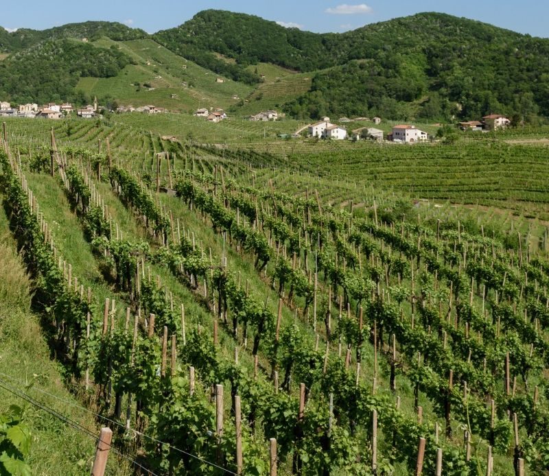 prosecco