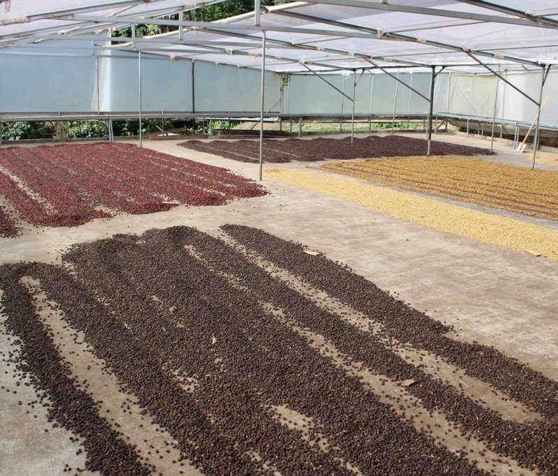 caffè più caro al mondo