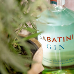 Sabatini Gin