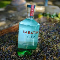 Sabatini Gin