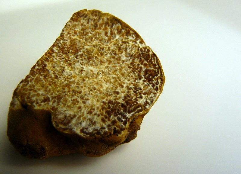tartufo
