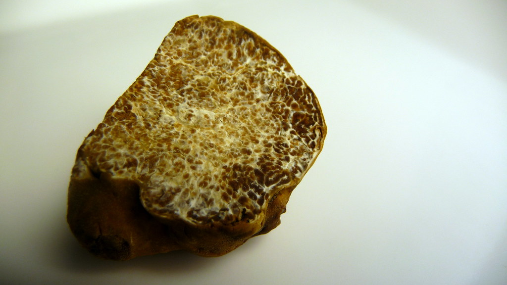 tartufo