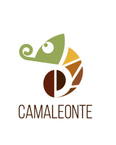 Guida del Camaleonte