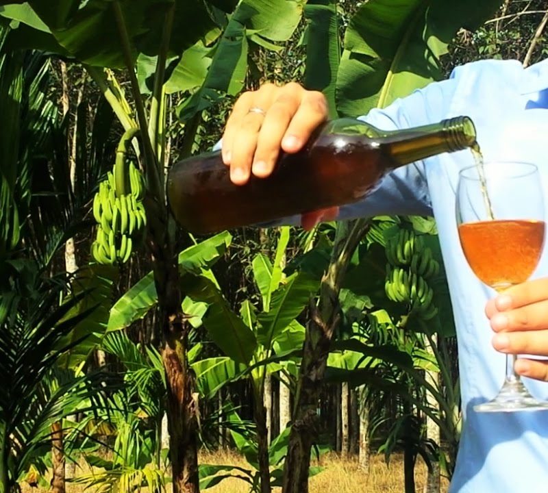 vino di banana