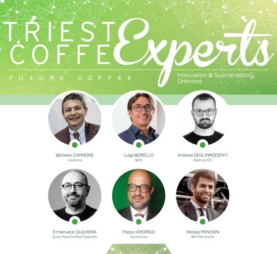 Trieste Coffee Experts