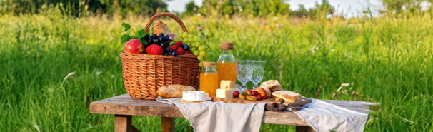 picnic